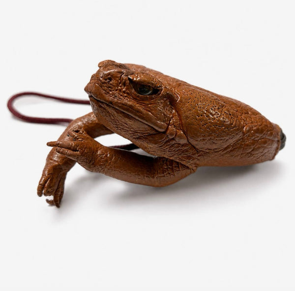 Cane Toad Coin Purse