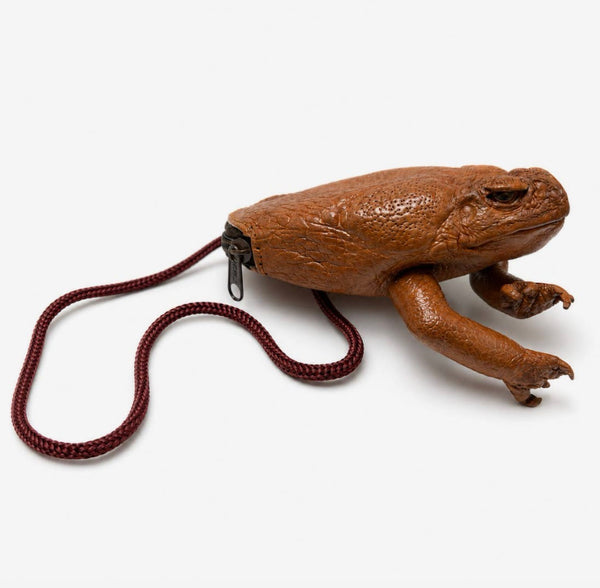 Cane Toad Coin Purse